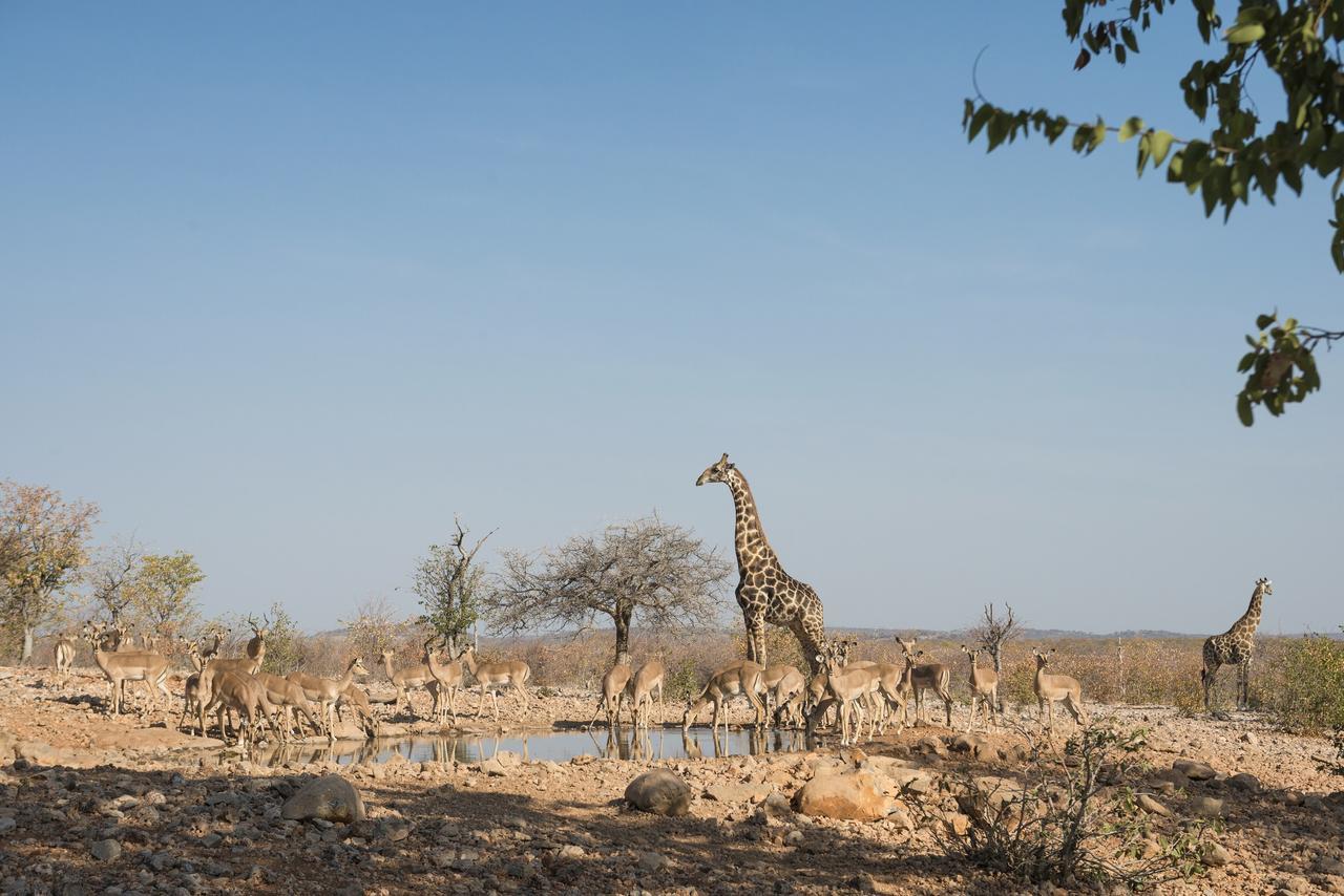 Ongava Lodge Okaukuejo Kültér fotó